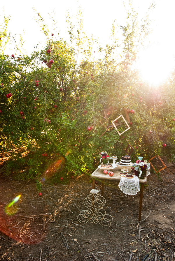 pomegranate-wedding-ideas
