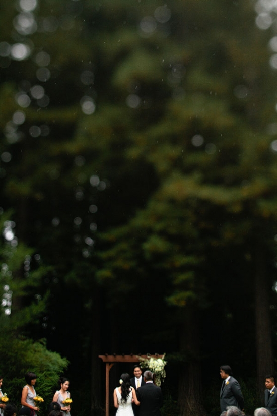 Wedding ceremony in nature with lush greenery