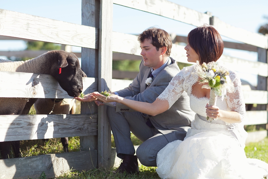 diy-kentucky-shaker-wedding