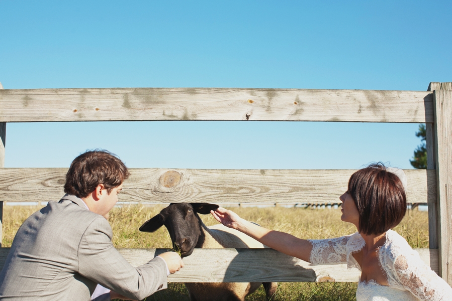 diy-kentucky-shaker-wedding