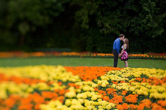 Flower Field Engagement Session | Golden Gate Park San Francisco