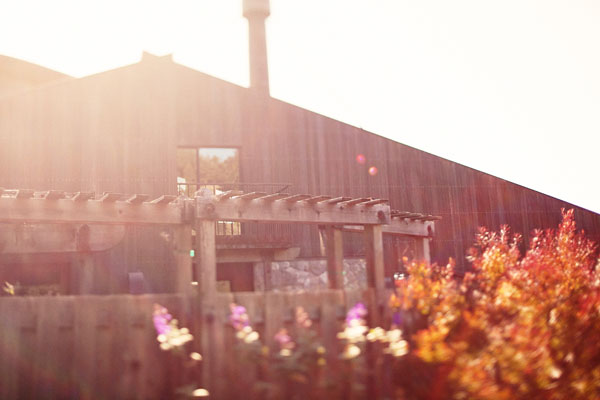 intimate-big-sur-wedding