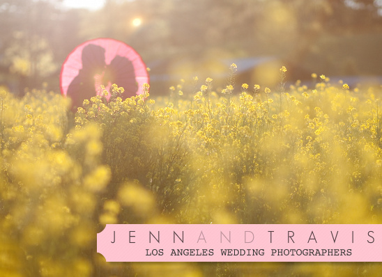 Couple kissing in yellow flower field