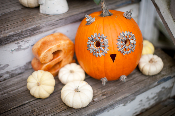 owl-love-you-wedding