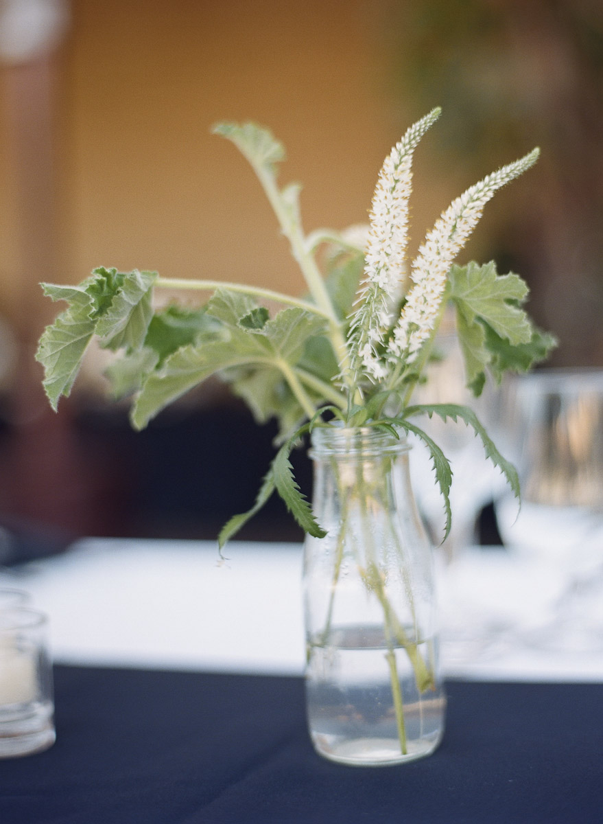 santa-barbara-historical-museum-wedding