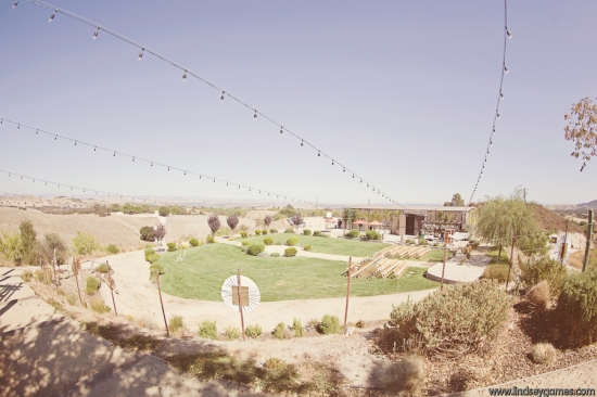 Outdoor wedding venue with grassy area and lights