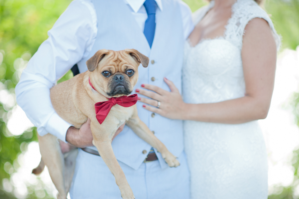 baby-blue-and-red-wedding-ideas