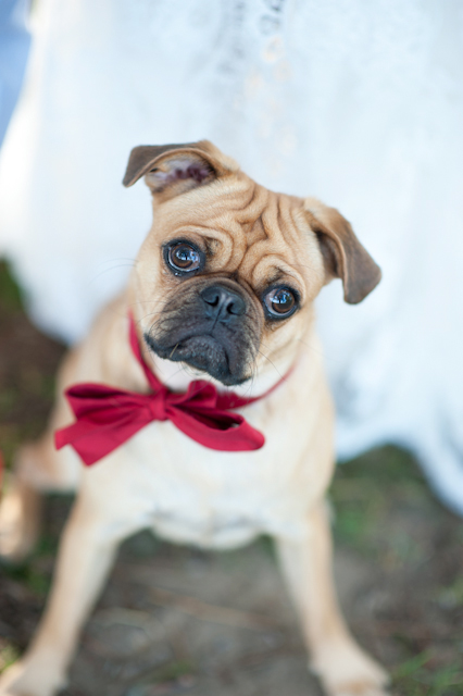 baby-blue-and-red-wedding-ideas