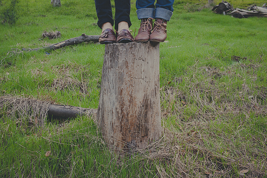 Feet on stump in grassy field