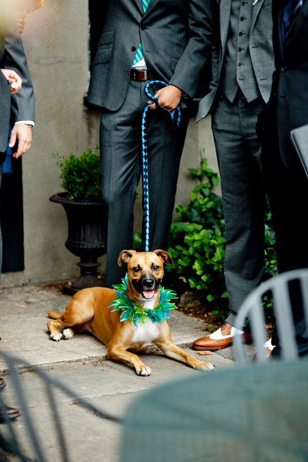 new-jersey-wedding-fernbrook-farms