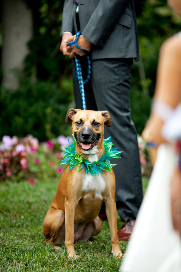new-jersey-wedding-fernbrook-farms