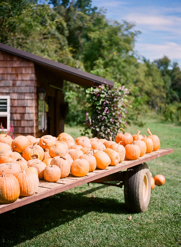 new-jersey-wedding-fernbrook-farms