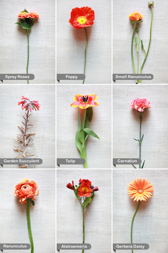 Orange Wedding Flower Guide