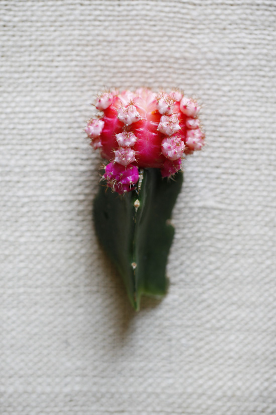 pink-wedding-flowers