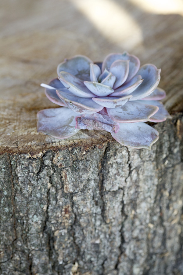 purple-and-green-classic-wedding