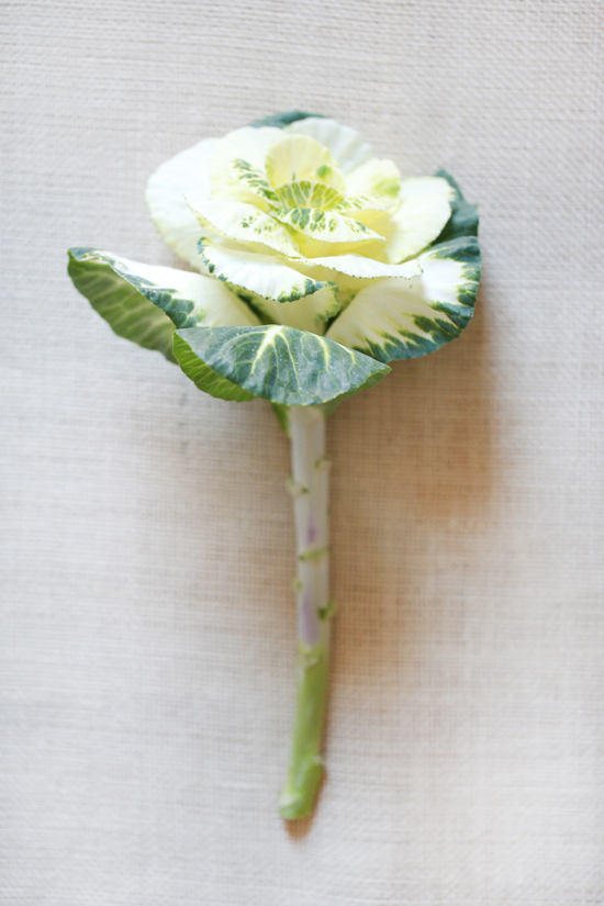 white-wedding-flower-guide