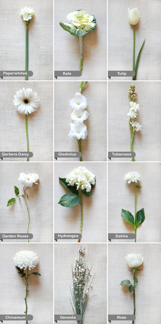 White Wedding Flower Guide