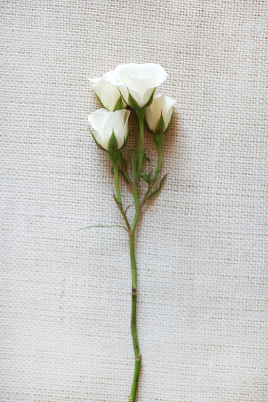 white-wedding-flower-guide