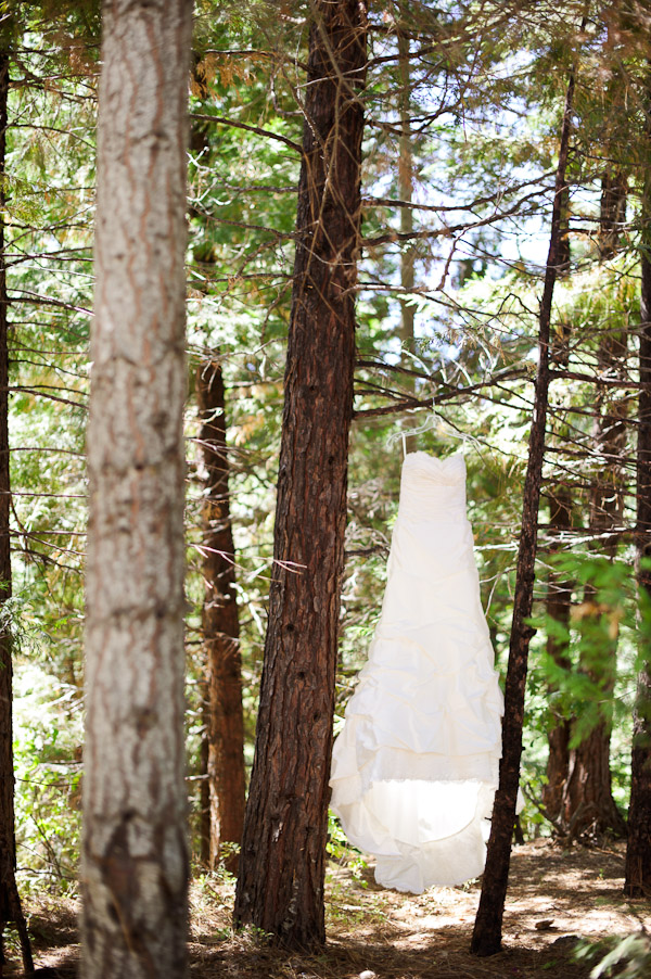 woodsy-rustic-wedding-in-paradise