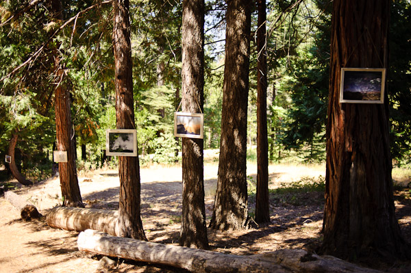 woodsy-rustic-wedding-in-paradise