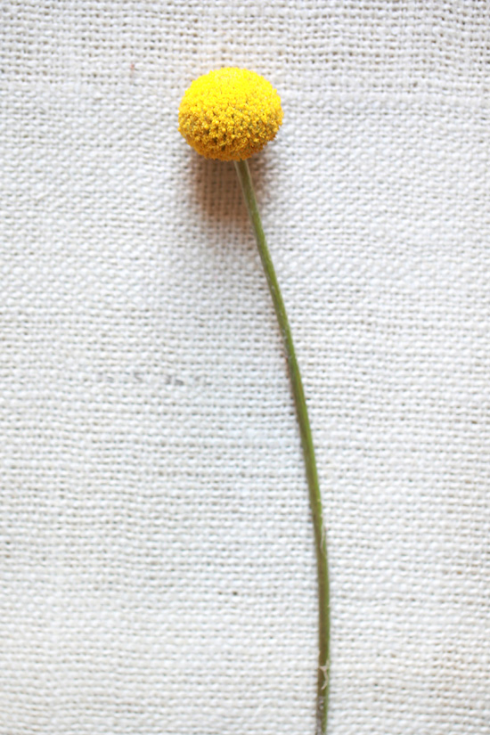 yellow-wedding-flower-guide