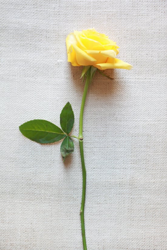yellow-wedding-flower-guide
