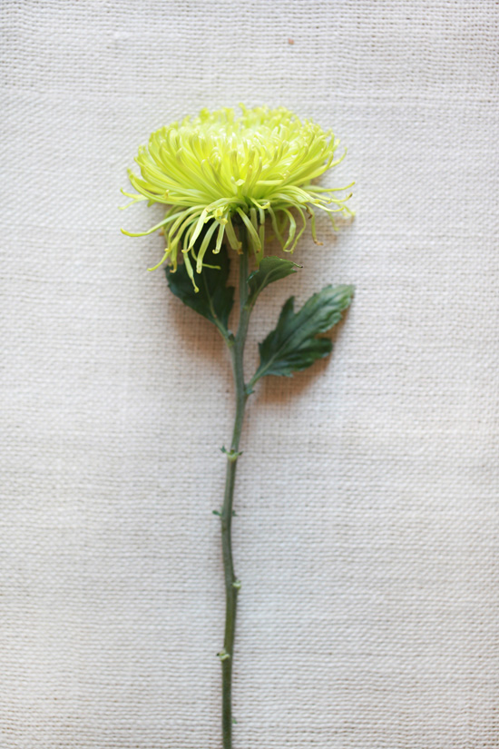 yellow-wedding-flower-guide