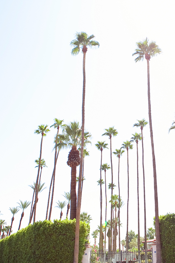 graphic-designers-palm-springs-wedding