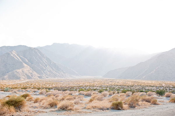 graphic-designers-palm-springs-wedding