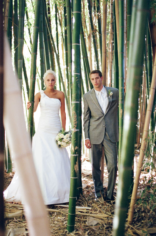 Wedding couple in bambo forest