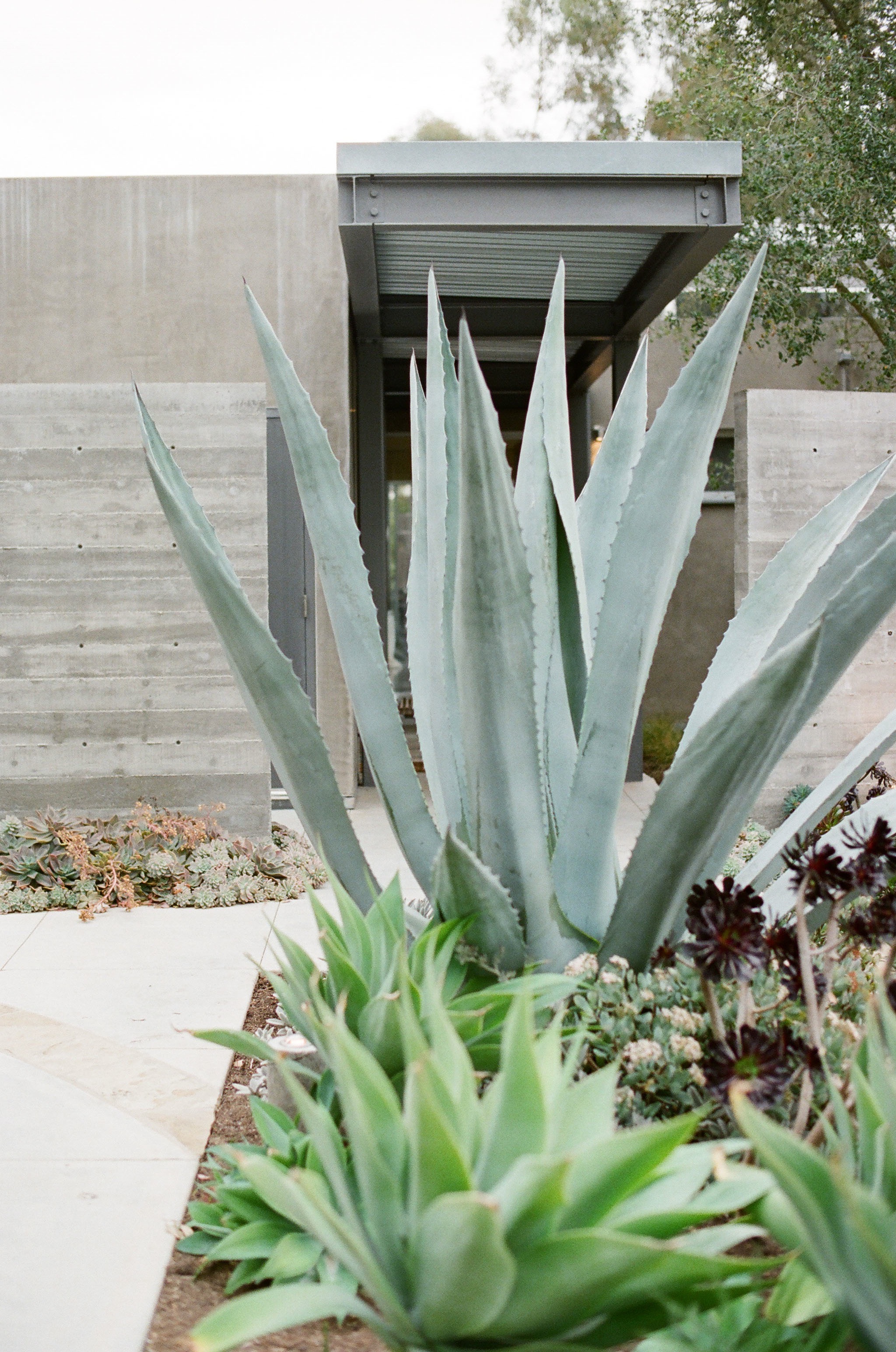 montecito-garden-wedding