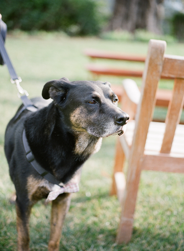 montecito-garden-wedding