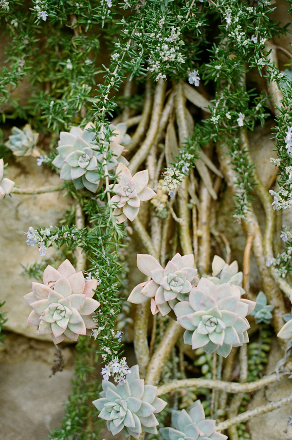 montecito-garden-wedding