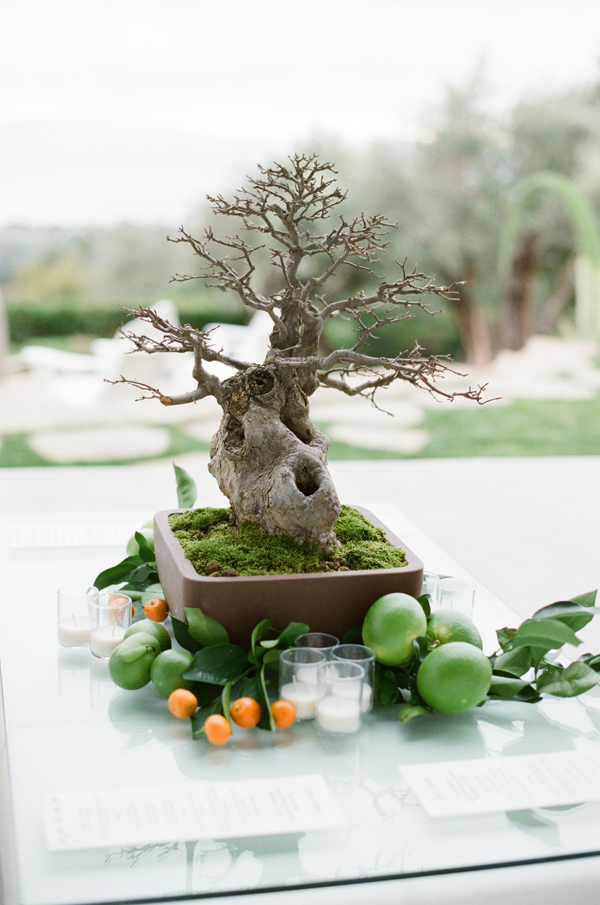 montecito-garden-wedding
