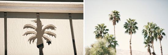 Palm tree shadow on fence and palm trees in sun