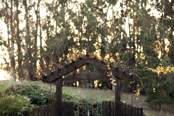 northern-california-wedding