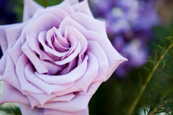 purple-vintage-wedding-ideas