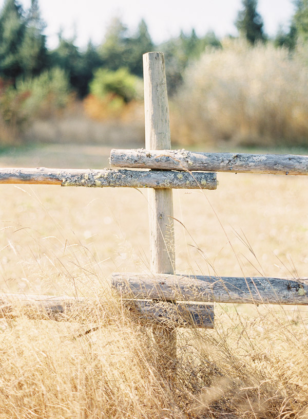 whidbey-island-wedding