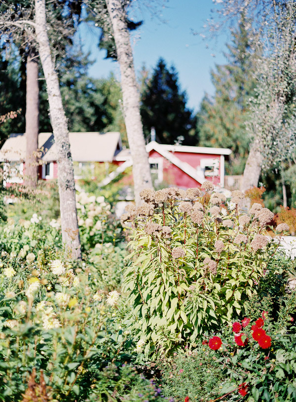 whidbey-island-wedding