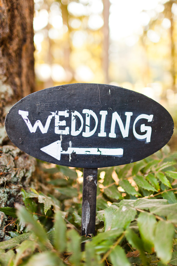 whidbey-island-wedding
