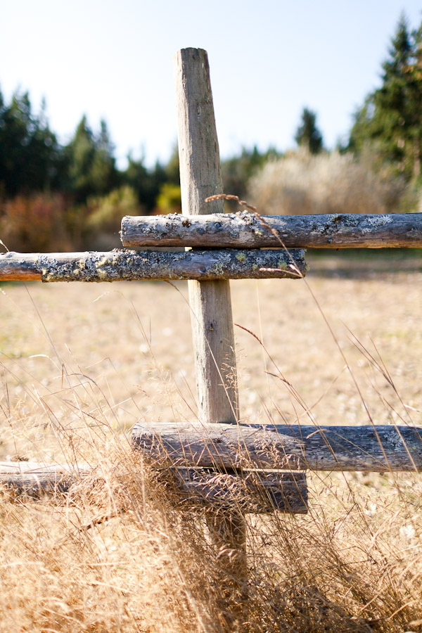 whidbey-island-wedding