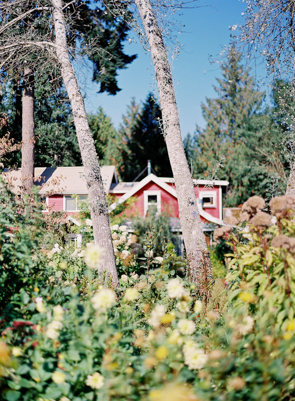whidbey-island-wedding