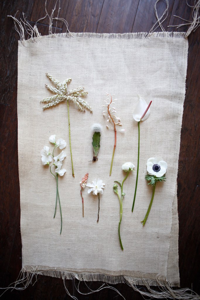 white-flower-guide