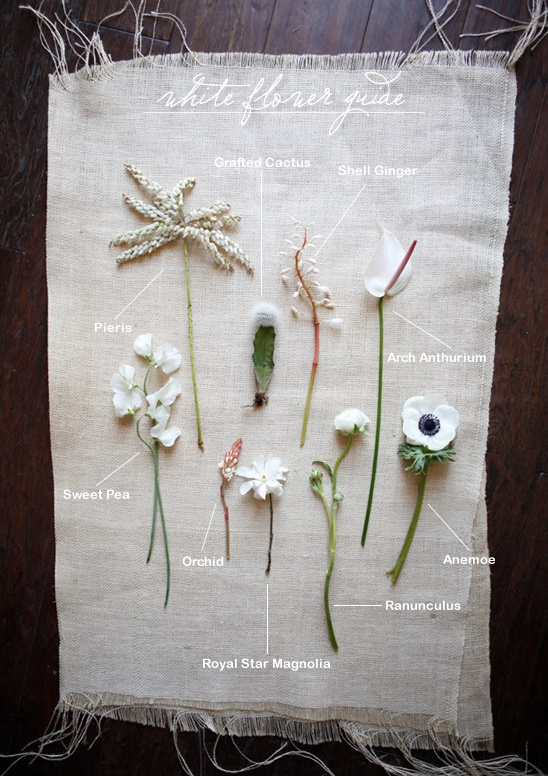 White flower guide: sweet pea, orchid, magnolia, etc