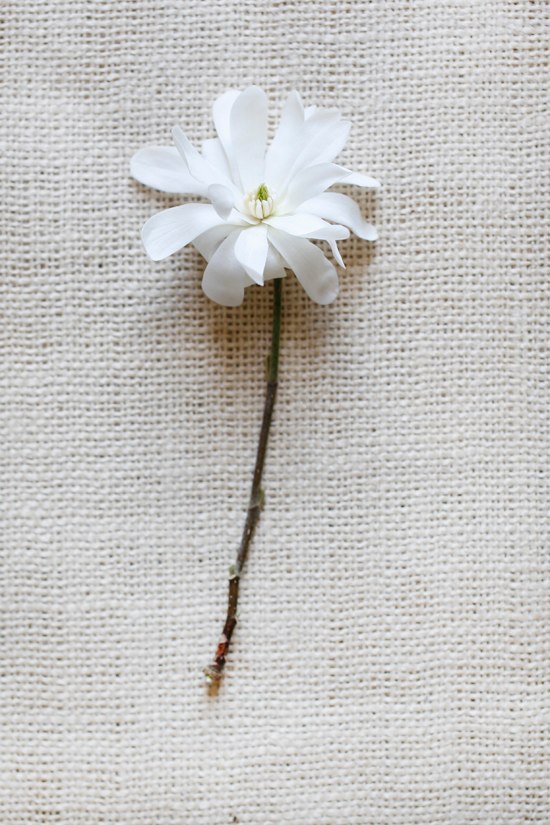 white-flower-guide