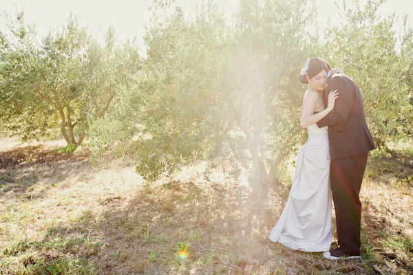 a-sonoma-wedding-the-viansa-winery