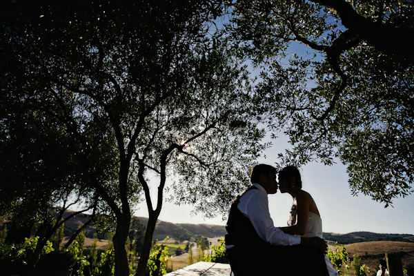 a-sonoma-wedding-the-viansa-winery