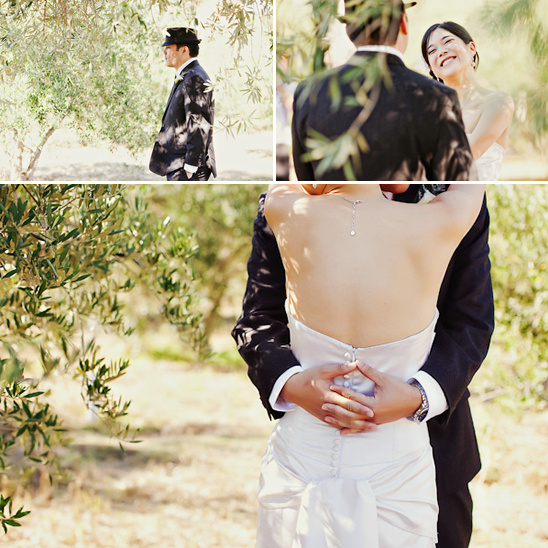 Bride and groom embracing under olive trees