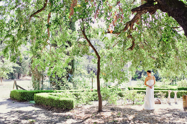 a-sonoma-wedding-the-viansa-winery