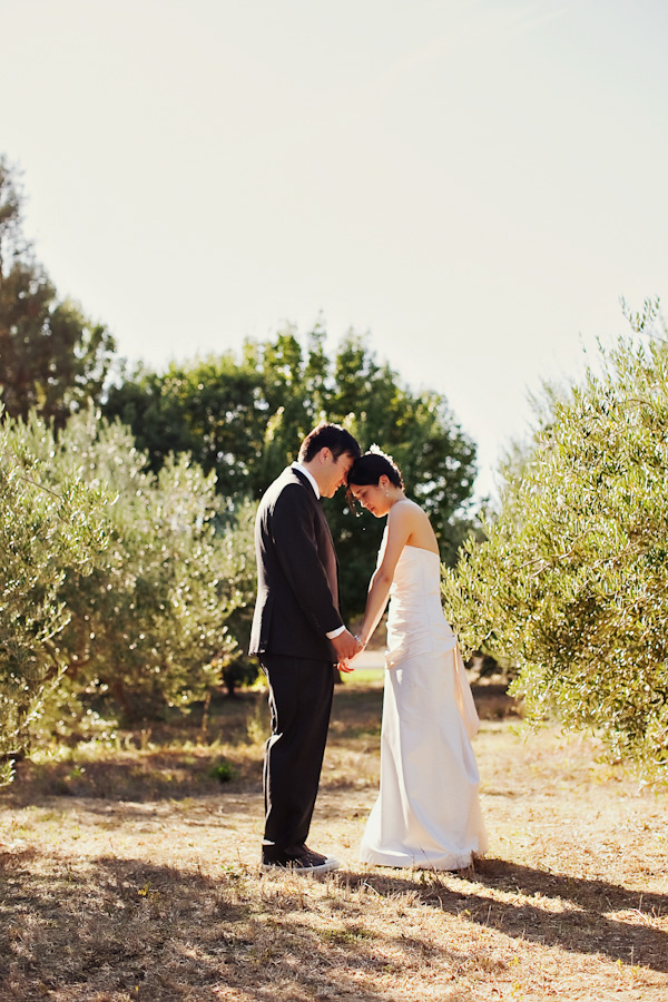 a-sonoma-wedding-the-viansa-winery